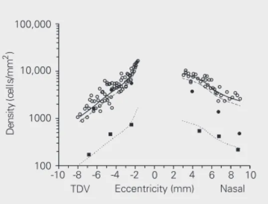 Figure 7. Comparison between total ganglion cell den- den-sity (individual values for different animals, replotted from Wilder et al