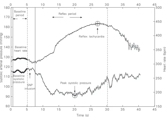 Figure 2. Example of the rou- rou-tine graphic interface during an experiment with a bolus  infu-sion of sodium nitroprusside.