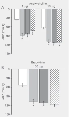 Figure 1. Decrease of diastolic blood pressure elicited by iv  ad-ministration of 1 and 10 µg  ace-tylcholine (A) or 100 µg  bradyki-nin (B), in 0.1 ml Krebs solution, over a period of 10 s