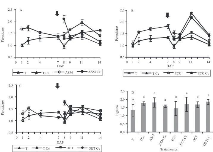 Figura 4. Atividade da enzima peroxidase (UA por mg de proteína por min) em diferentes dias após a pulverização (DAP) (A, B e  C)
