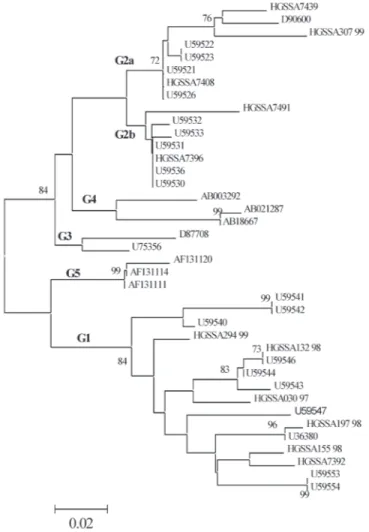 Figure 3.     Neighbor-joining tree of 135 nt fragments of GBV-C/HGV (5’NCR) from previously published reference strains and from our study  popula-tion