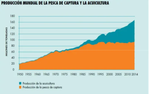 Figura 1: Produção mundial de pesca de captura e aquicultura  Fonte: FAO, 2016  