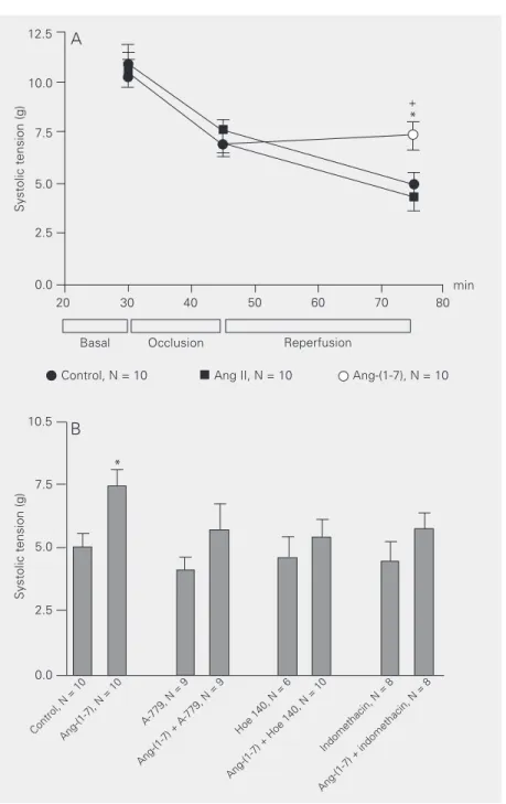 Figure 2. Time course of changes in systolic tension in isolated perfused rat heart submit- submit-ted to temporary coronary occlusion
