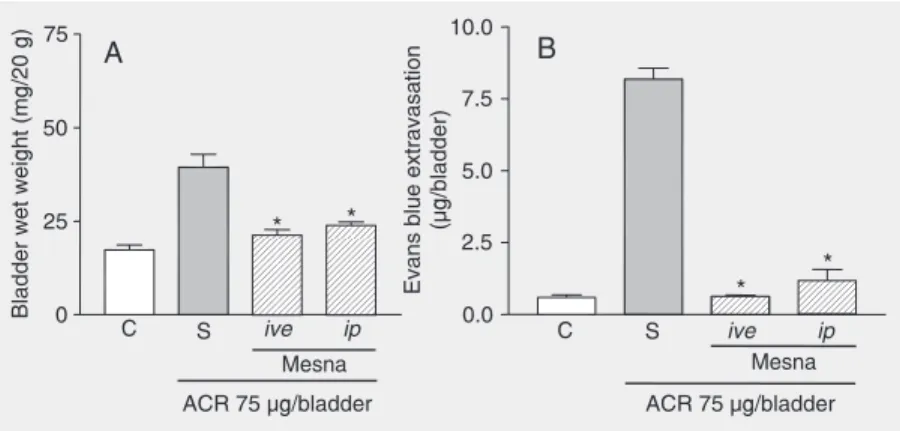 Figure 4. Effect of different routes of administration of mesna on bladder wet weight (A) and Evans blue extravasation (B) in acrolein-induced hemorrhagic cystitis