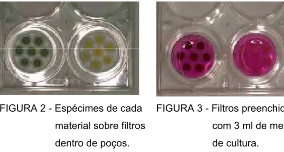 FIGURA 2 - Espécimes de cada  material sobre filtros  dentro de poços. 
