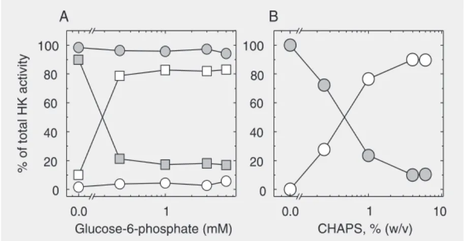 Figure 1. Solubilization of mitochondrial hexokinase (HK) activity with glucose-6-phosphate and CHAPS