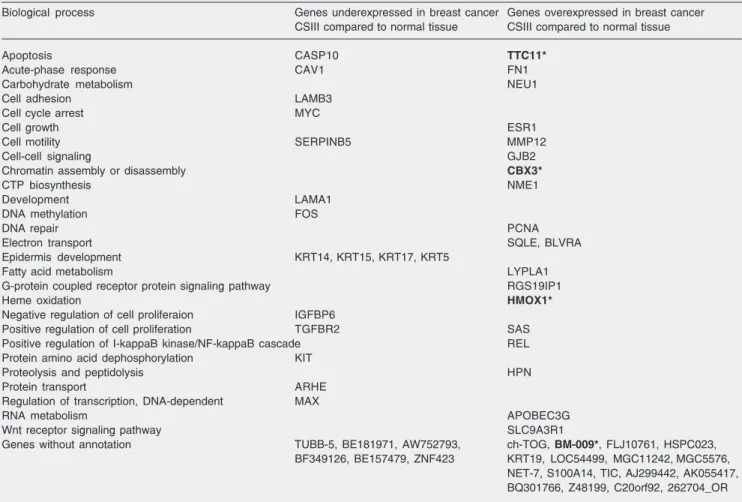 Table 3. Genes commonly differentially expressed in CSII and CSIII tumors compared to normal breast tissue according to their Gene Ontology annotation (biological process).