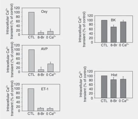 Figure 1. Role of cADPR on agonist stimulated Ca 2+  transients. Human myometrial smooth muscle cells were grown as described in the Material and Methods section on 9 x 22-mm coverslips