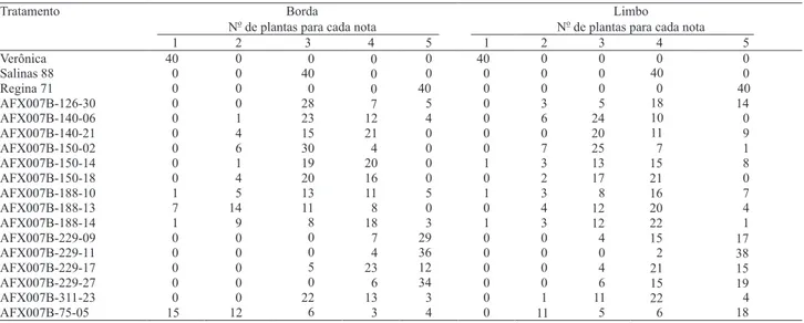 Tabela  2.  Distribuição  de  notas  para  borda  e  limbo  foliares  de  plantas  de  três  cultivares  e  15  famílias  F 4   ('Salinas  88'  x  'Verônica') de alface.