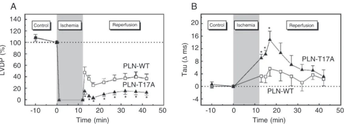 Figure 8 shows the time course of contractile and relaxation parameters during ischemia and reperfusion in PLN-WT and PLN-T17A mutant hearts