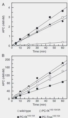 Figure 1. Time course of the ini- ini-tial rate of protein C activation by thrombin in the absence and presence of thrombomodulin 456 (TM456)