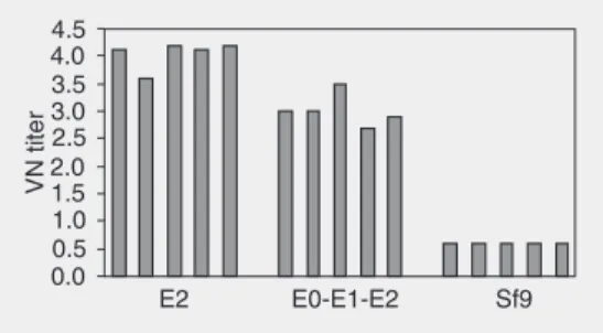 Figure 1. Virus neutralizing (VN) titers against BVDV NADL strain obtained in mice. The presence of  neutral-izing activity was determined on day 21, one week after the last immunization