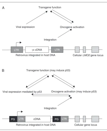 Figure 1. Overview of the influence of the virus on cellular and therapeutic gene expression.