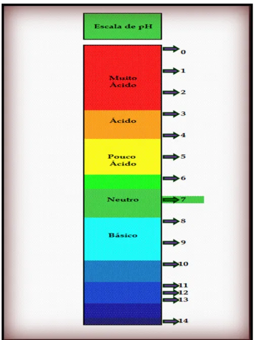 Figura 10 – Escala de pH 