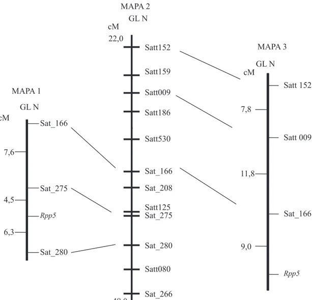 Figura 1. Mapa de ligação com indicação do posicionamento do gene de resistência à ferrugem-asiática- 1. Mapa de ligação com indicação do posicionamento do gene de resistência à ferrugem-asiática-da-soja (Rpp5), em relação aos marcadores microssatélites po