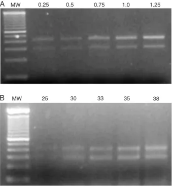 Figure 1. Standardization of RT-PCR conditions by kinetic anal- anal-ysis of APAF-1 transcript amplification