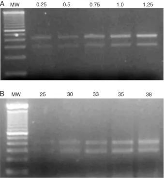 Figure 1. Standardization of RT-PCR conditions by kinetic anal- anal-ysis of APAF-1 transcript amplification