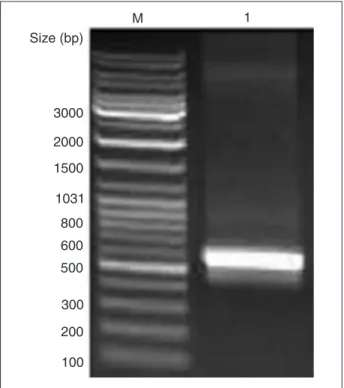 Figure 1. Figure 1.