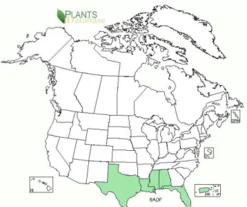 Figura 1. Destaque em verde para os estados americanos (Flórida, Louisiana, Texas e Havai)  onde é produzida a cana-de-açúcar