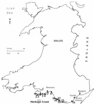 Figure 6 - Location of beaches: 1 Rhossili, 2 Port Eynon, 3 Horton, 4 Oxwich, 5 Caswell, 6 Langland, 7  Swansea Bay, 8 Aberafan, 9 Rest Bay, 10 Coney Beach, 11 Ogmore-by-Sea, 12 Southerndown, 13  Llantwit Major, 14 Barry Island (Source: Phillips et al