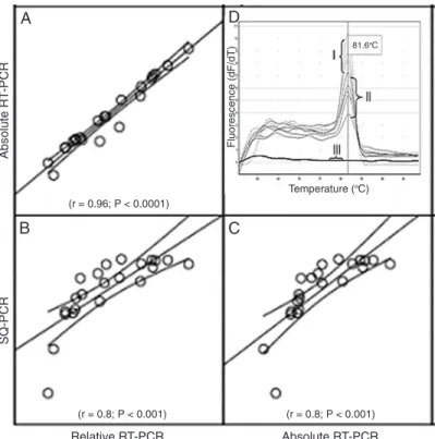 Figure 2. Detection of MYCN  and melting curve analysis after amplification  of the MYCN gene