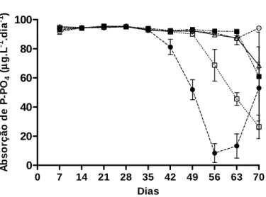 Figura 10. Taxa de absorção de P-PO 4  (µg.L -1 .dia -1 ) dos diferentes tratamentos. 