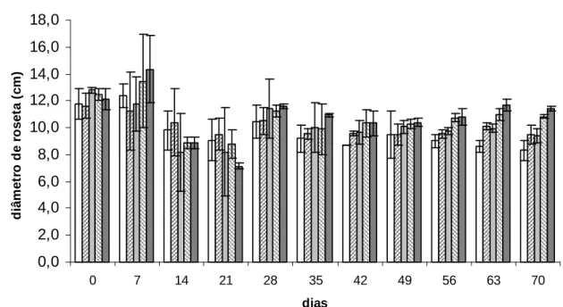 Figura 14. Diâmetro de roseta (cm) por unidade experimental de indivíduos de P. 
