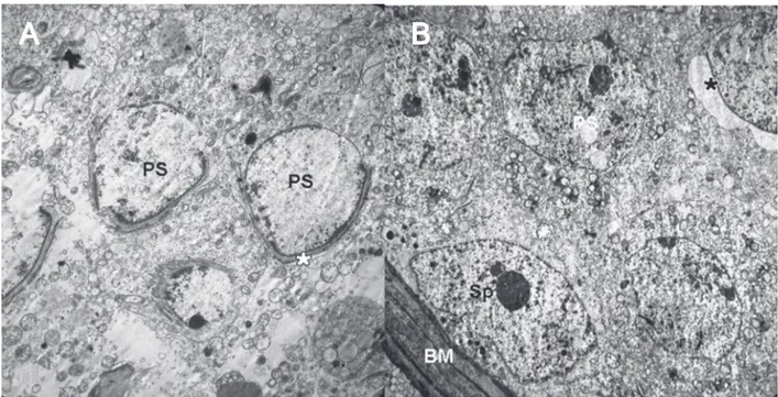 Figure 3. Figure 3.