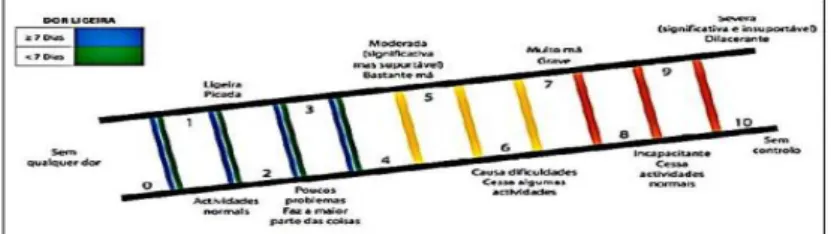 Figura 3 – Régua da dor. 