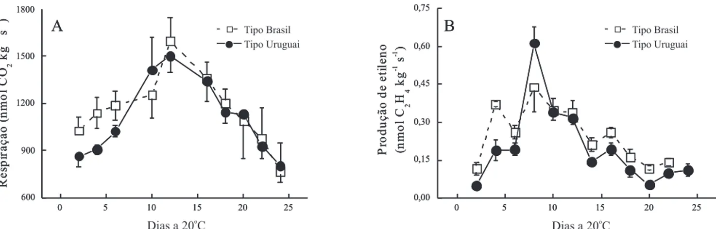 Figura  1.  Taxas  respiratórias  (A)  e  de  produção  de  etileno  (B)  de  goiabeira-serrana  dos  tipos  Brasil  (acesso  387)  e  Uruguai (acesso 454), durante o armazenamento a 20 o C