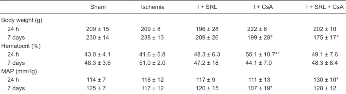 Table 3. Renal function and hemodynamic parameters in ischemic rats treated with sirolimus (I + SRL), cyclosporine A (I + CsA) and  both (I + SRL + CsA).