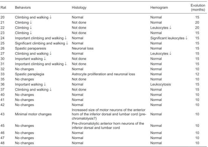 Table  1.  Summary of descriptive behavioral, histological, hematological, and evolutive data of Wistar rats inoculated with HTLV-1- HTLV-1-infected MT2 cells (experimental group; N = 23 of the 25 that started the study).