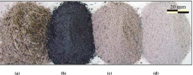 Figura 5 - Bagaço de cana-de-açúcar (a) e diferentes cinzas residuais geradas após a queima do bagaço em  caldeira: cinza escura com alto teor de carbono, característico de combustão incompleta (b), cinza com menor 