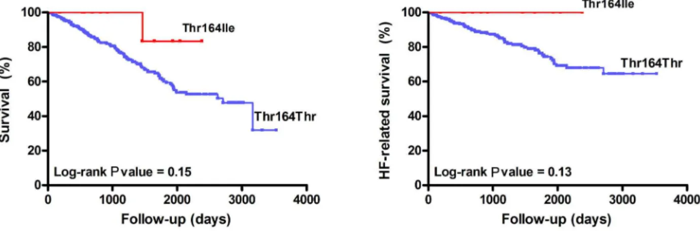 Figure 1. Kaplan-Meier survival curves as a function of the Thr164Ile genotype for all-cause mortality (N = 315, left) and heart failure  (HF)-related mortality (N = 315, right).