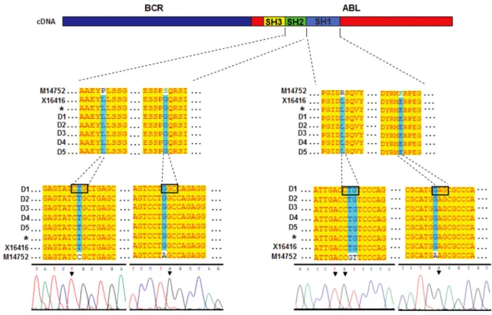 Figure 2. Sequence analysis of kinase regulatory domains (SH1 and SH2) at different times during treatment with imatinib did not  detect substitutions before or after treatment