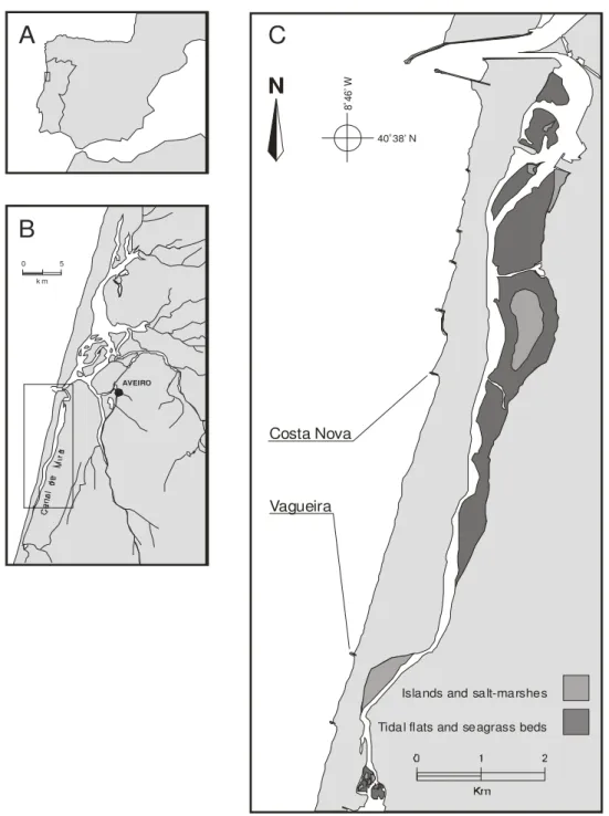 Fig. 2.1. Iberian Peninsula (A), Ria de Aveiro (B) and location of sampling sites on the  northwest coast of Portugal (C)