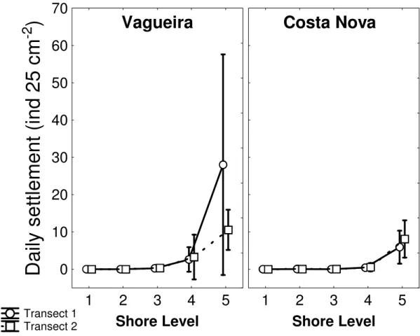 Fig.  2.4. Chthamalus  montagui.  Mean  daily  settlement  according  to  shore,  transect  and  level