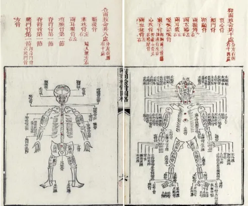 Fig. 1- A sample of Xǐ-yuān lù, detailing the human skeleton and its nomenclature, present  in Sòng Cí: Xǐ-yuān lù jí-zhèng