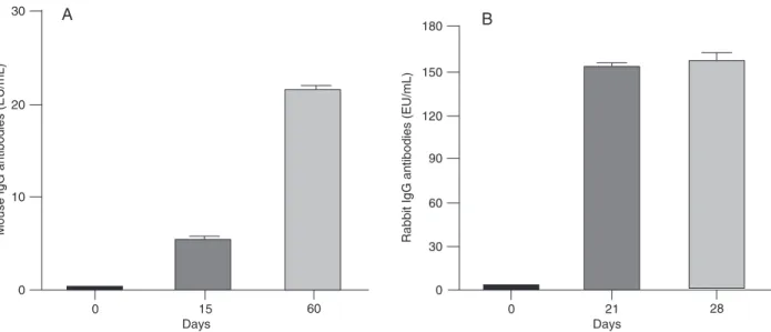 Figure 4. Antibody response of mice (N = 5) (A) and of a rabbit (N = 1) (B) after immunization with recombinant diphtheria toxin Park  Williams 8 (rDTB PW8 )