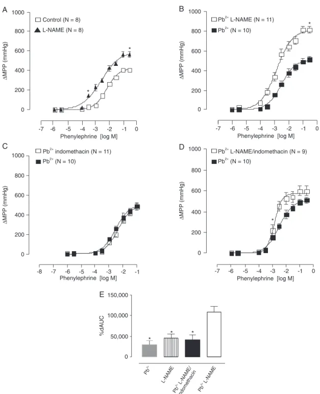 Figure 2. Changes in mean perfusion pressure (∆MPP; mmHg) in response to increasing doses of phenylephrine in the  tail artery of Wistar rats