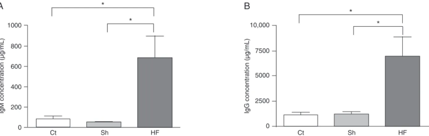 Figure 1. M-mode echocardiography. Representative parasternal short axis views 3 weeks after surgery of sham-operated (A) and  infarcted (B) mice