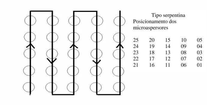 Figura 7. Esquema de disposição dos microaspersores e sentido do  fluxo da água na bancada Tipo Serpentina