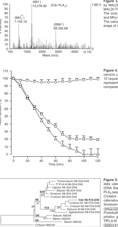 Figure  3.  Determination  of  the  molecular  mass  of  Cdc  PLA 2