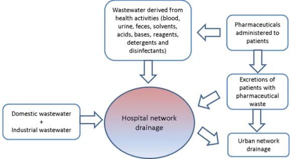 Figure 1.1 - The environmental problem of wastewater hospital (Emmanuel E. 2002)