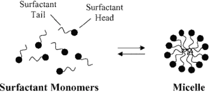 Figure 1.3- Surfactant structure (Yagui 2005) 