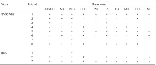 Table 2. Distribution of infectivity in the brain of rabbits inoculated with the parental virus or with the recombinant BoHV- BoHV-5gE∆.
