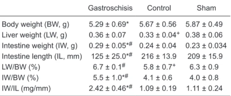 Figure 1. Correlation between liver weight and intestinal length at 18.5  days of gestation in rats with gastroschisis.