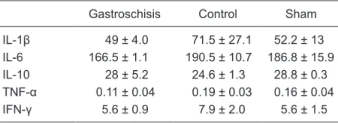 Table 3.  Levels of NF-kappaB in the liver and intestine of a rat  model of gastroschisis.