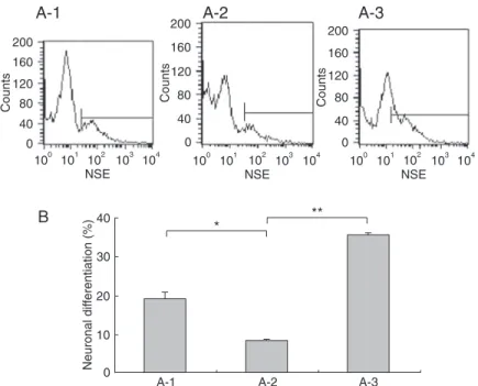 Figure 7. Determination of percent neuronal differentiation in subventricular zone (SVZ) precursors with different Dlx5 levels