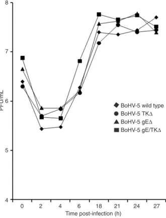 Figure 5. One-step viral growth curve. Madin Darby bovine kid- kid-ney cells were inoculated with the recombinant or wild-type virus  as  described  in  Material  and  Methods
